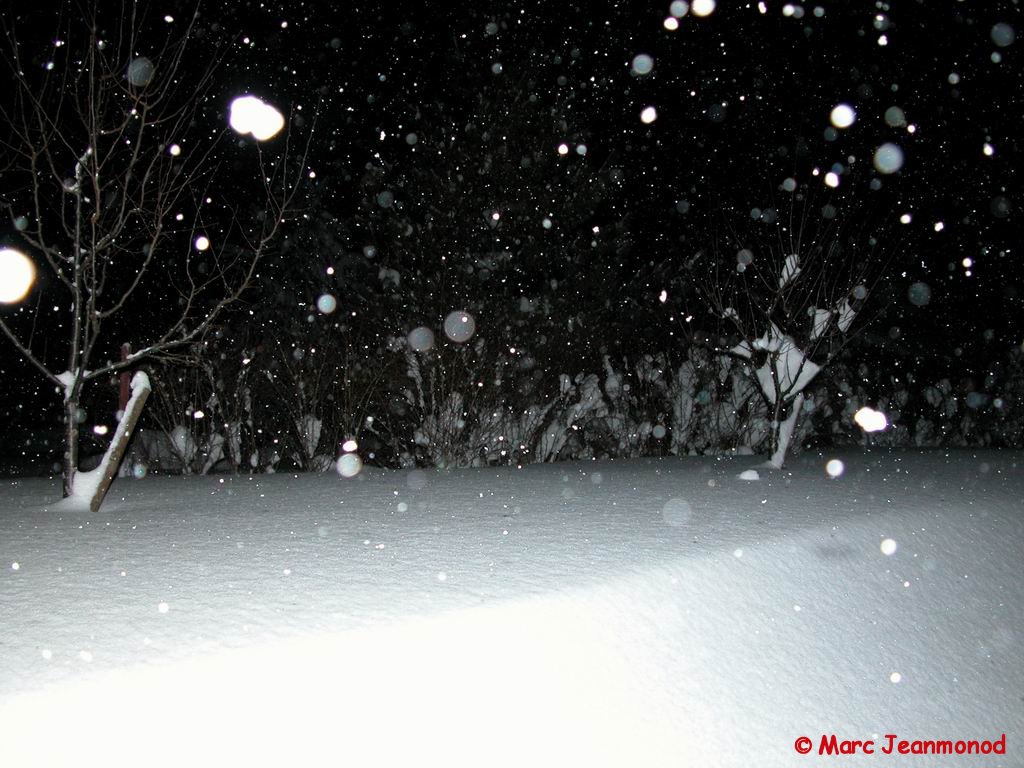 Dscn0946.jpg